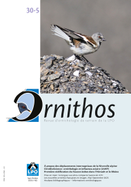 couverture ornithos